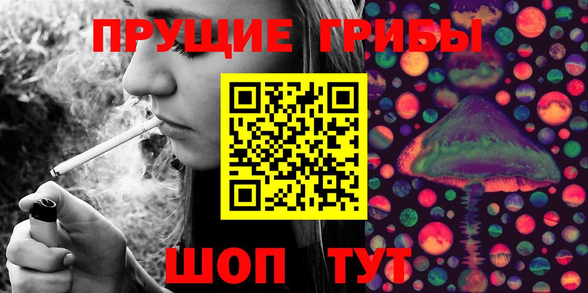 Псилоцибиновые грибы Psilocybe Сергиев Посад