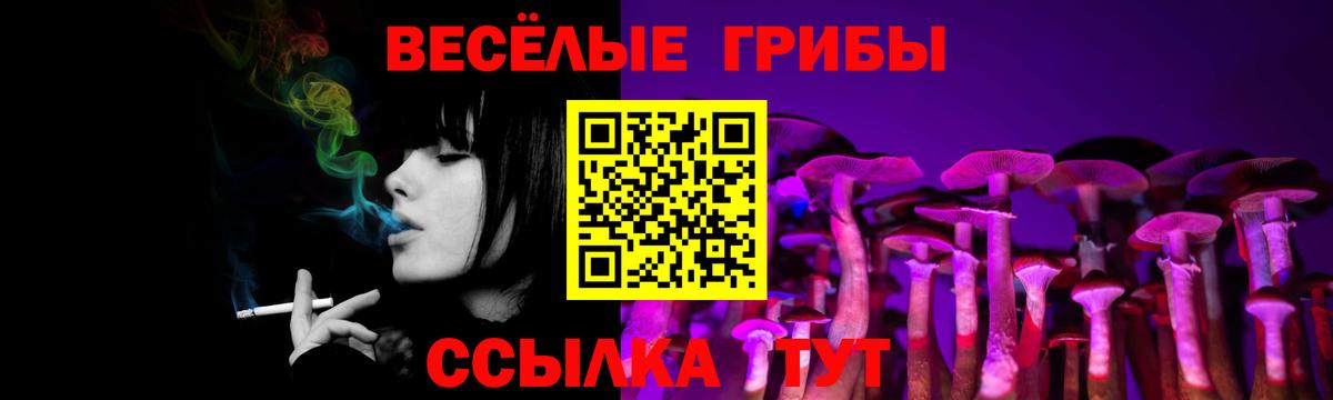 Псилоцибиновые грибы GOLDEN TEACHER  Галлюциногенные грибы мухоморы  Вход с VPN  Сергиев Посад 